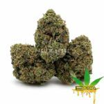 Enigma Extracts - LSO Pink