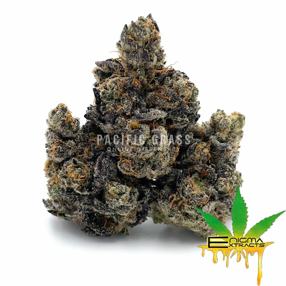 Enigma Extracts - Money Maker