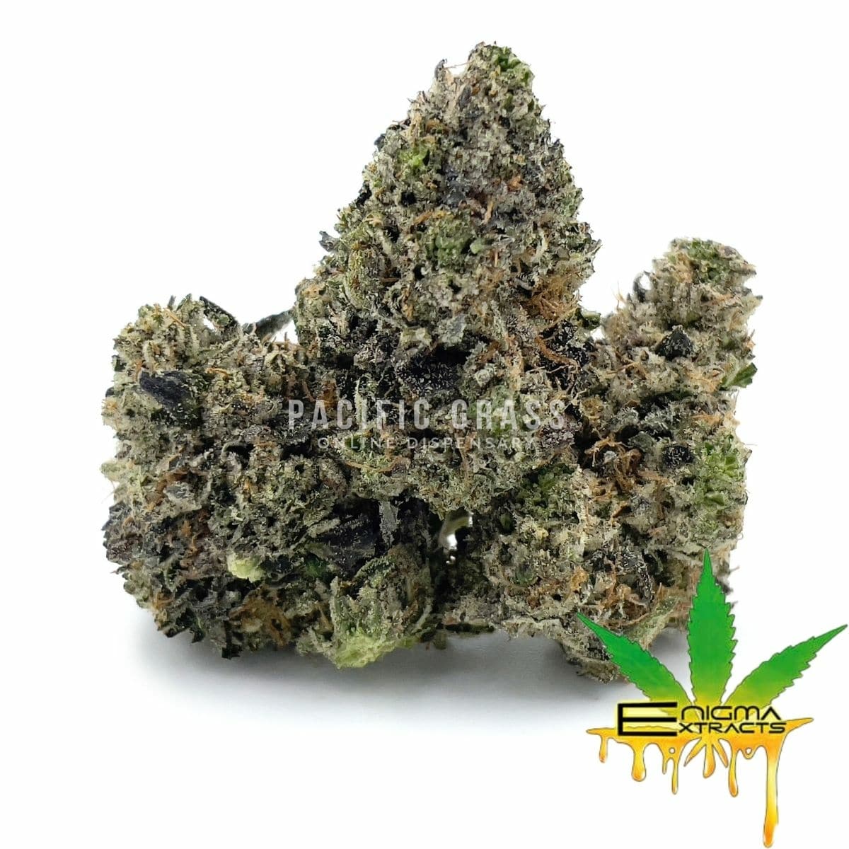 Enigma Extracts - Pine Tar