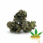 Enigma Extracts - Pink Gas - Smalls