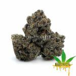 Enigma Extracts - Pink Goo