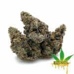 Enigma Extracts - Stank House