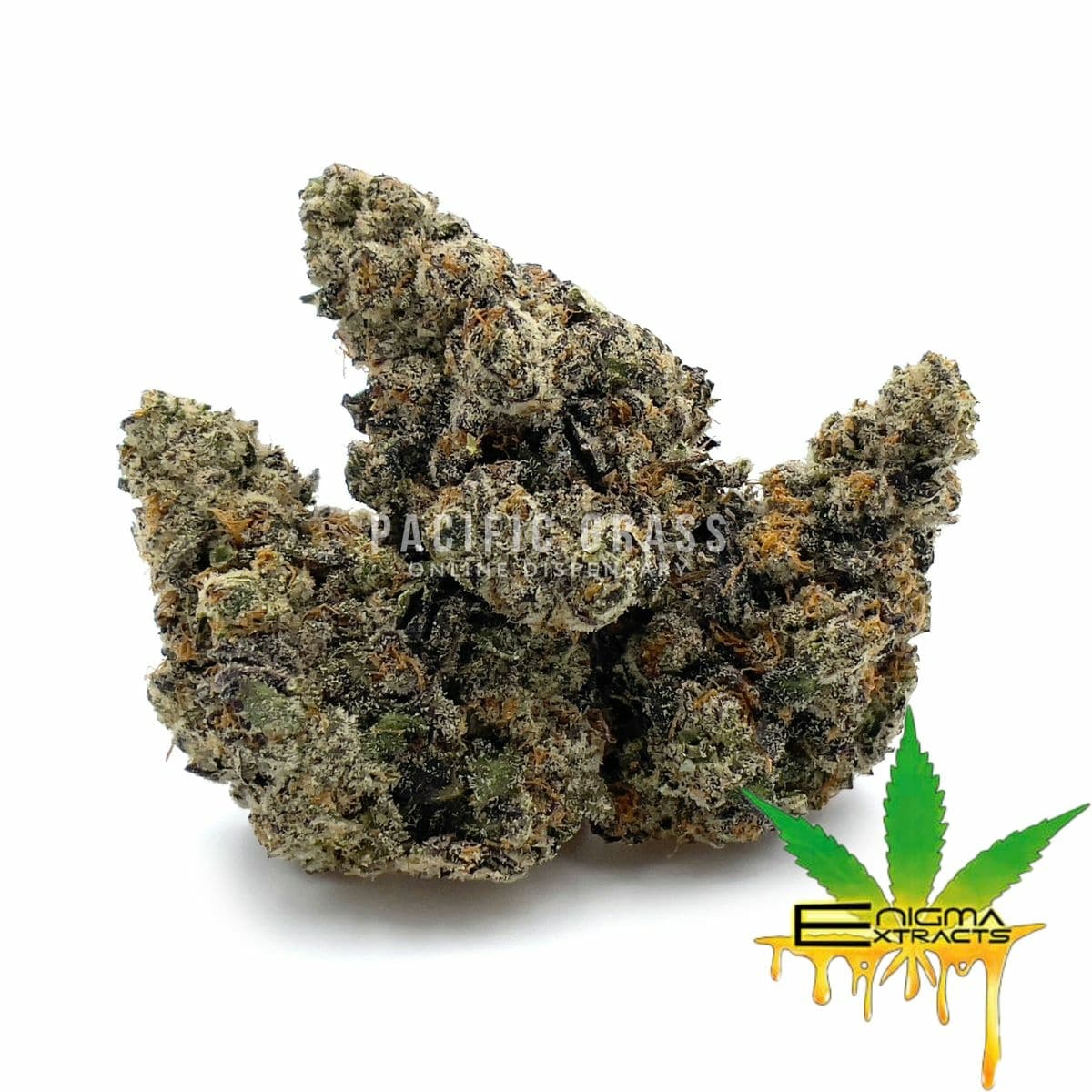 Enigma Extracts - Stank House