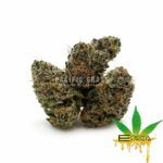 Enigma Extracts - Super Boof - Smalls