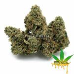 Enigma Extracts - Wild Animal Cookies