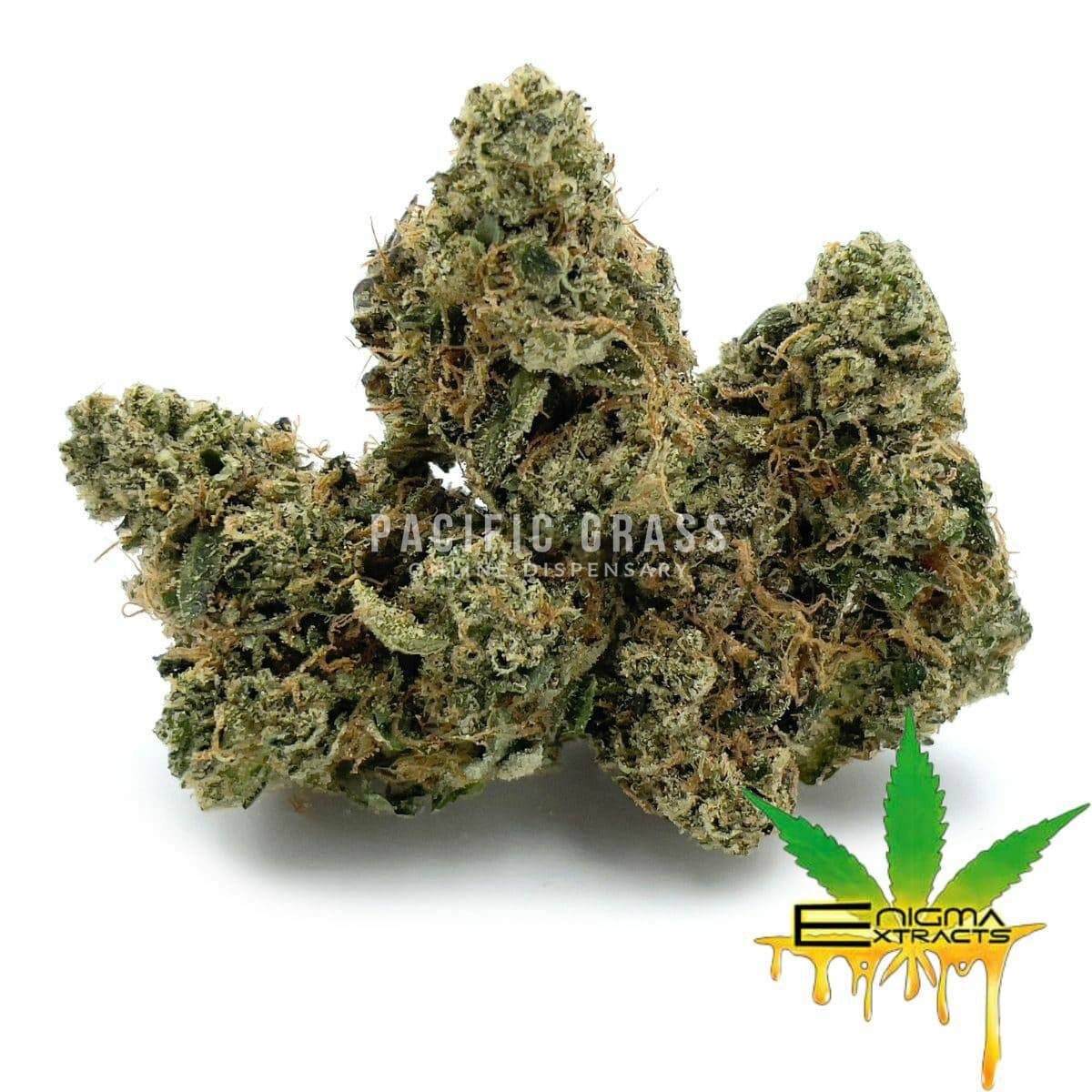 Enigma Extracts - Wild Animal Cookies