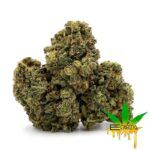 Enigma Extracts - Fruity Pebbles OG x Gelato