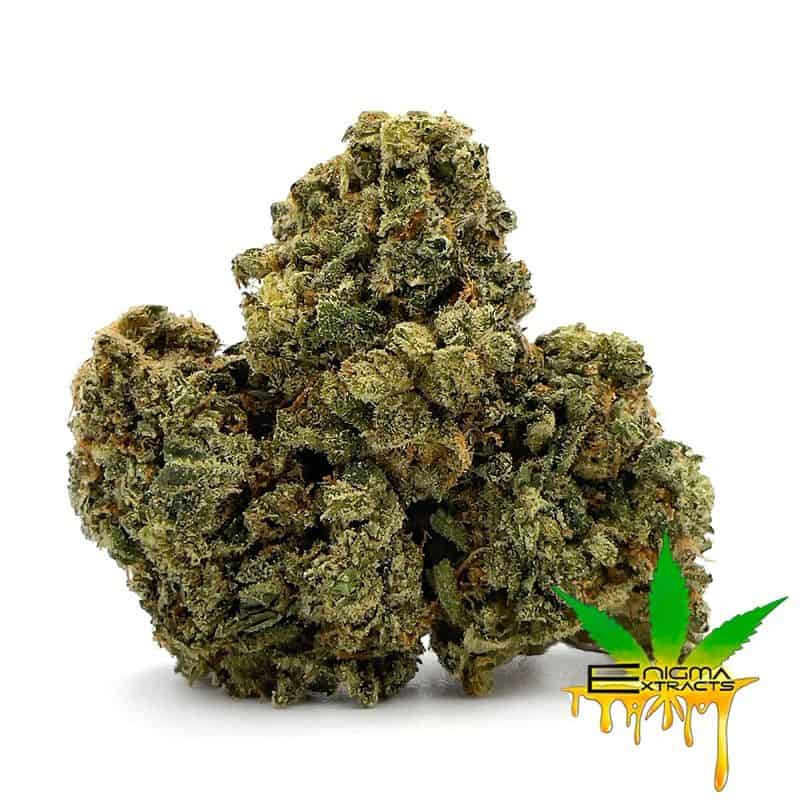 Enigma Extracts - Fruity Pebbles OG x Gelato