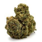 Enigma Extracts - Fruity Pebbles OG x Gelato