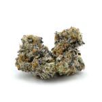 Enigma Extracts - G8 - Smalls