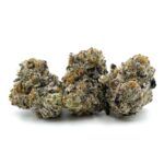 Enigma Extracts - G8 - Smalls