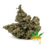 Enigma Extracts - Ghost Train Haze