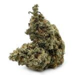 Enigma Extracts - Ghost Train Haze