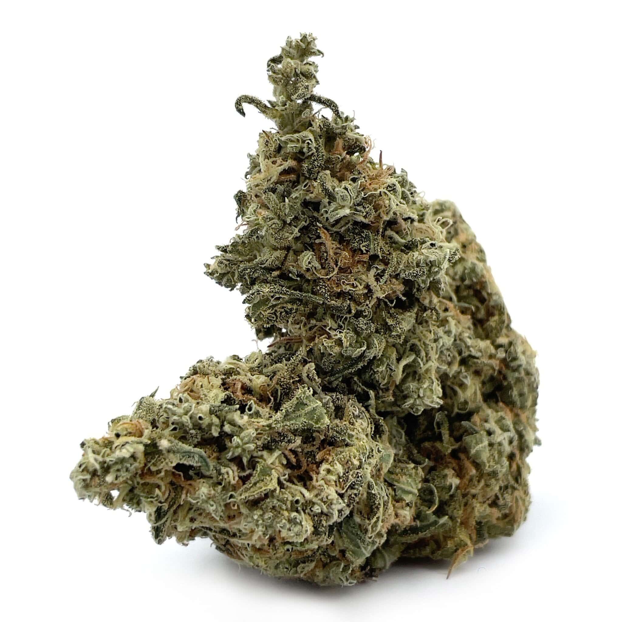 Enigma Extracts - Ghost Train Haze