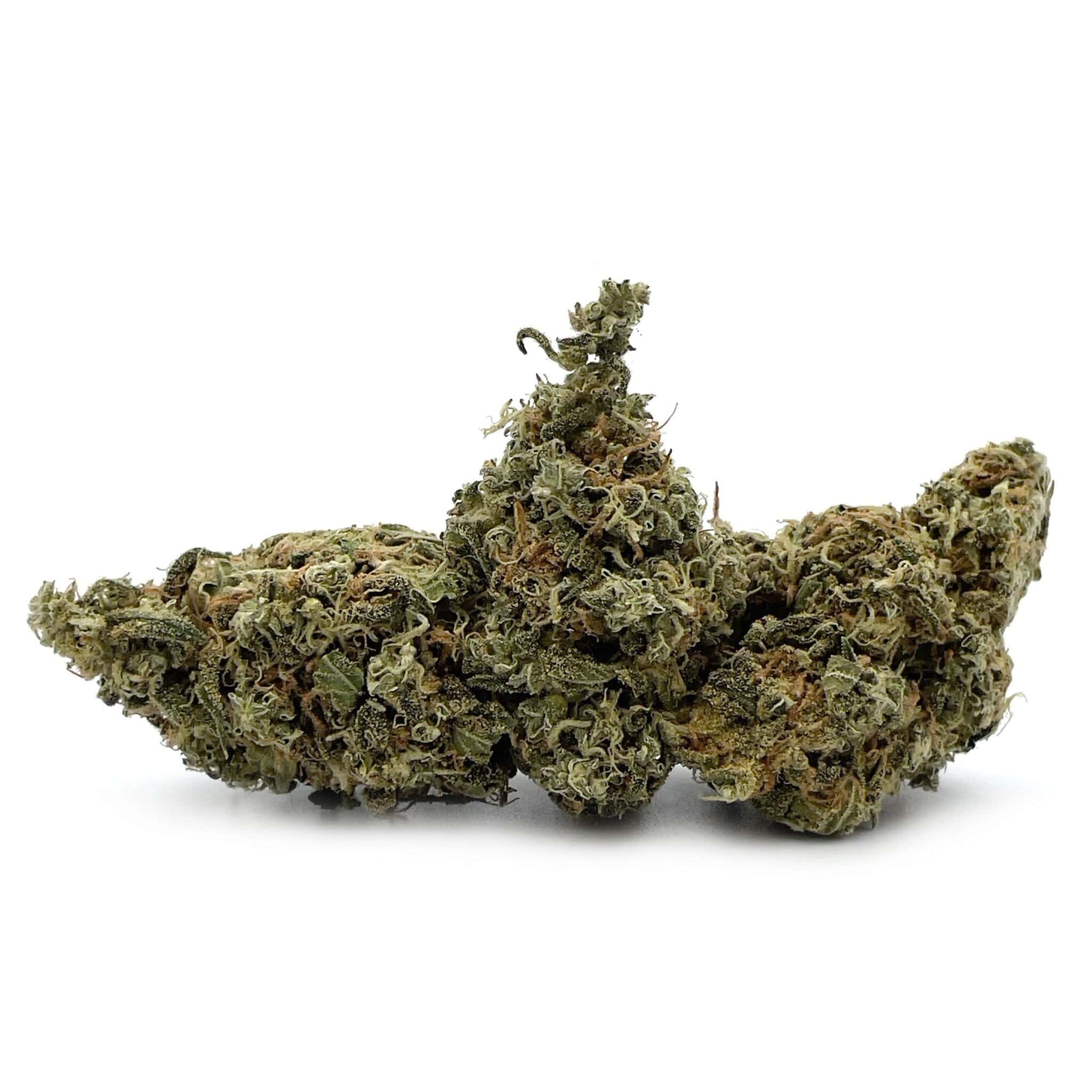 Enigma Extracts - Ghost Train Haze