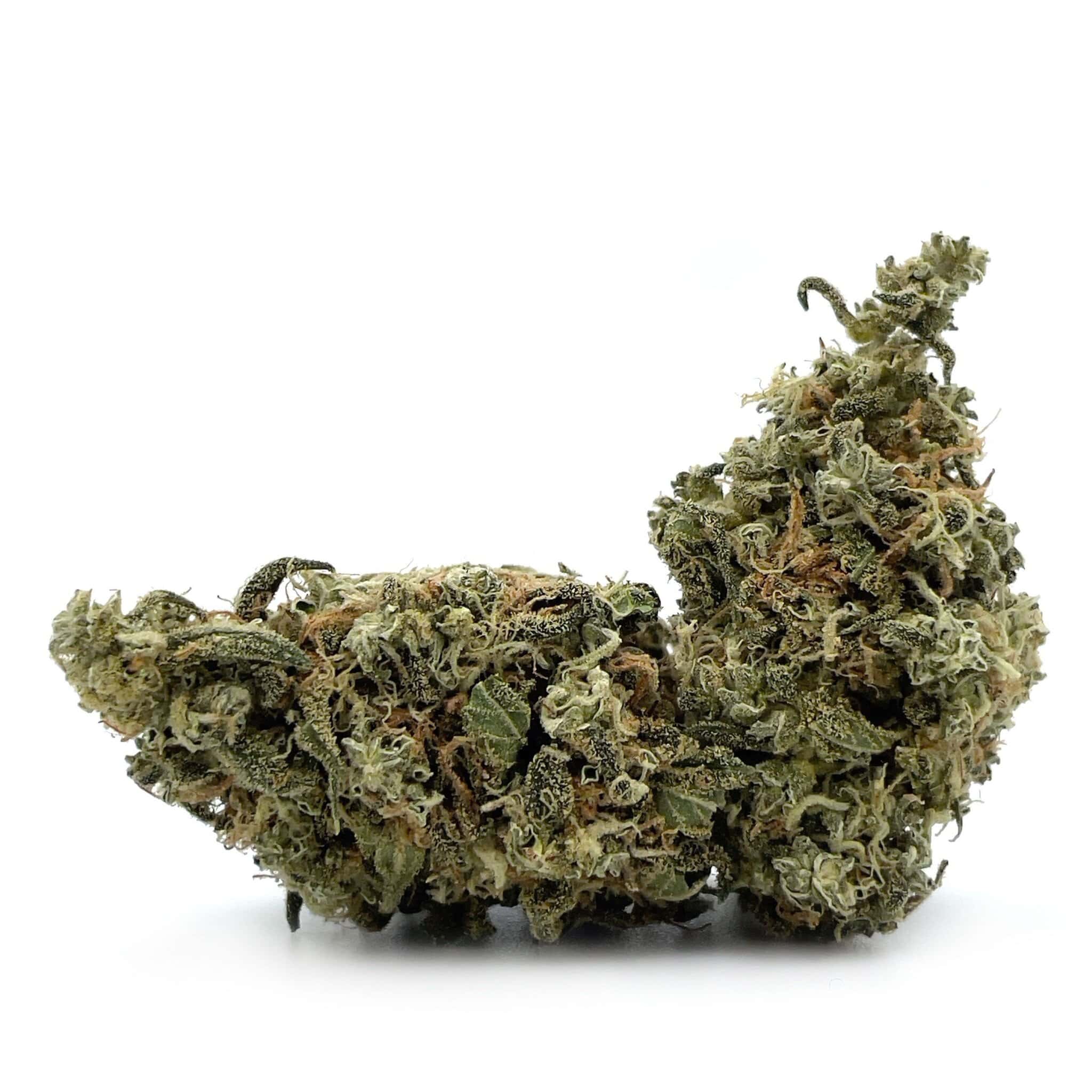 Enigma Extracts - Ghost Train Haze