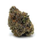 Enigma Extracts - Gummy Bunz