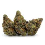 Enigma Extracts - Halitosis Breath