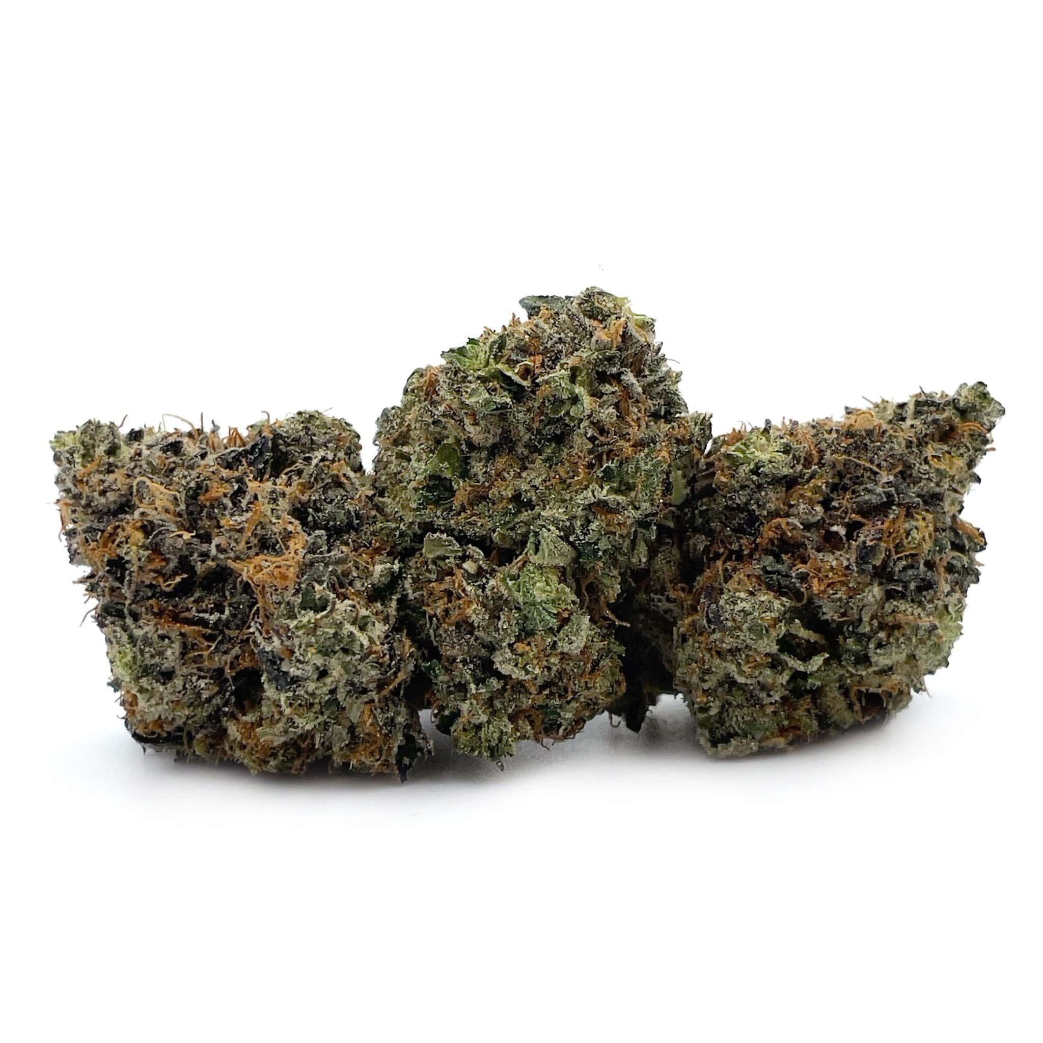 Enigma Extracts - Hindu Kush