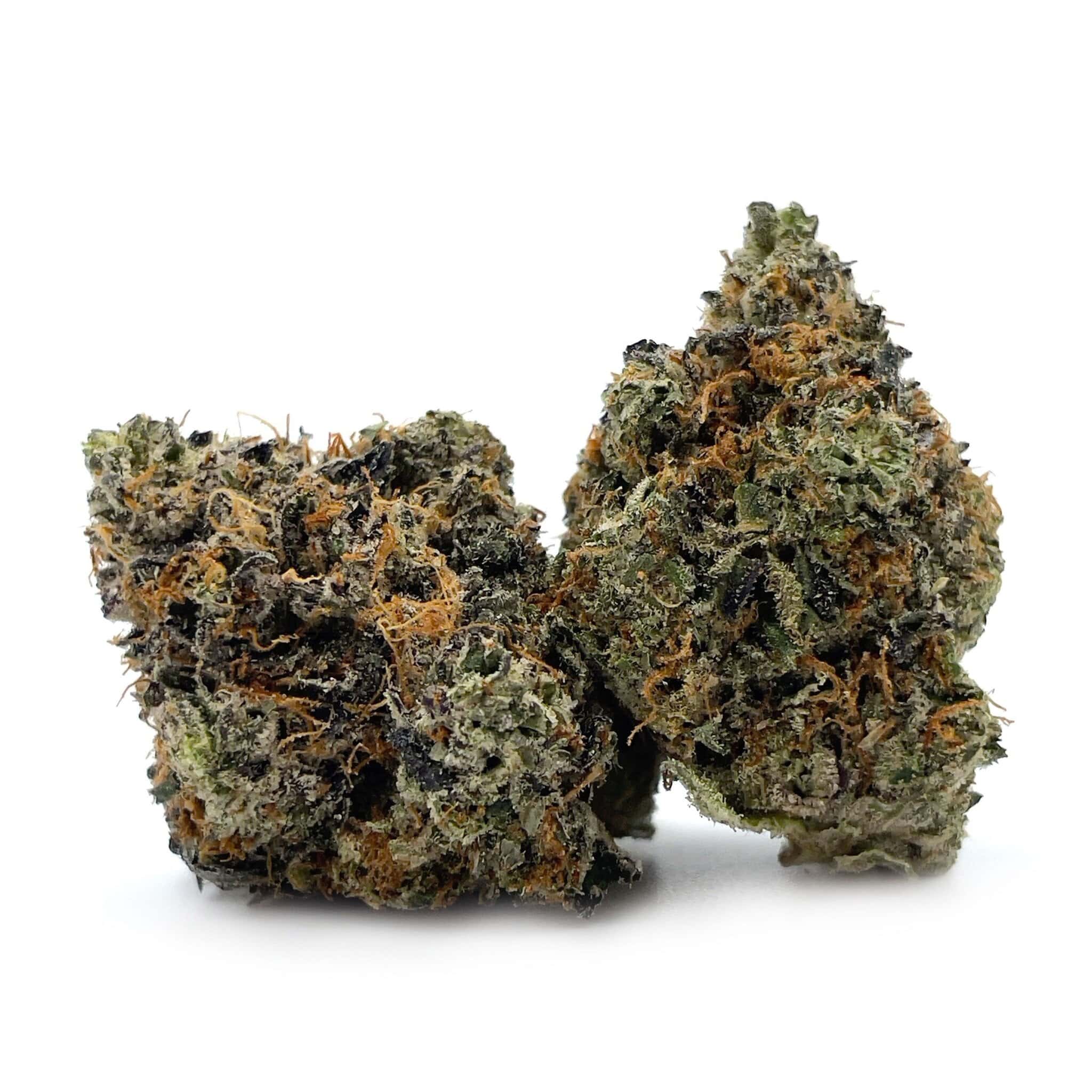 Enigma Extracts - Hindu Kush