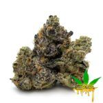 Enigma Extracts - Luxuriotti