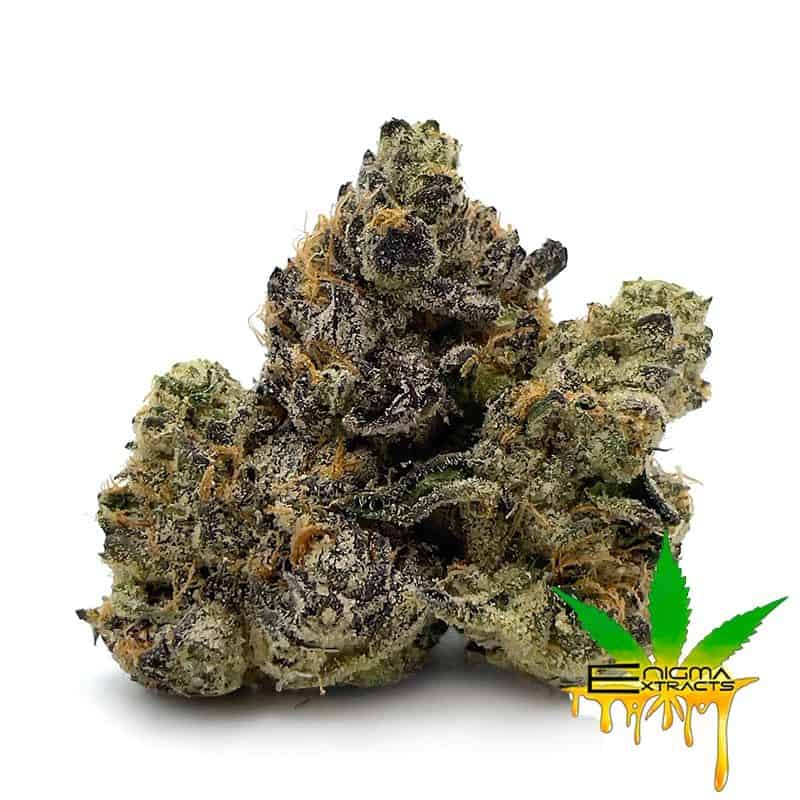 Enigma Extracts - Luxuriotti