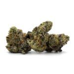 Enigma Extracts - Luxuriotti