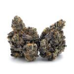 Enigma Extracts - Money Maker