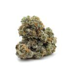 Enigma Extracts - OG Shark - Smalls