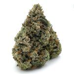 Enigma Extracts - Pine Tar