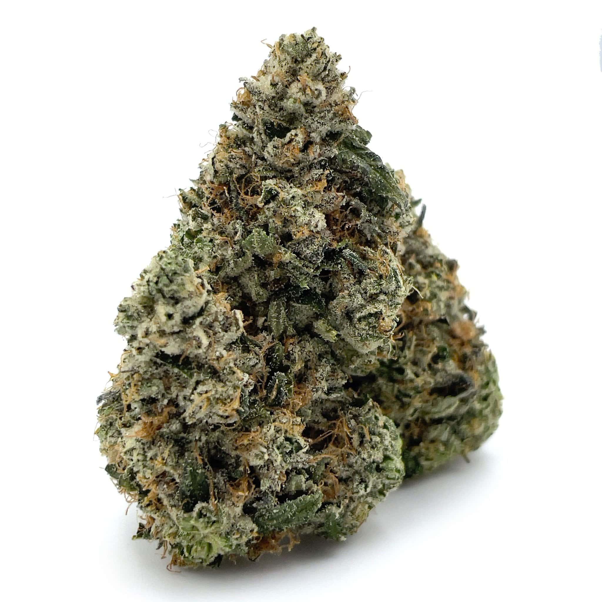 Enigma Extracts - Pine Tar