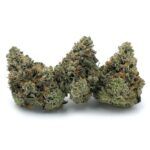 Enigma Extracts - Pine Tar