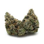 Enigma Extracts - Pine Tar