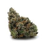 Enigma Extracts - Pine Tar