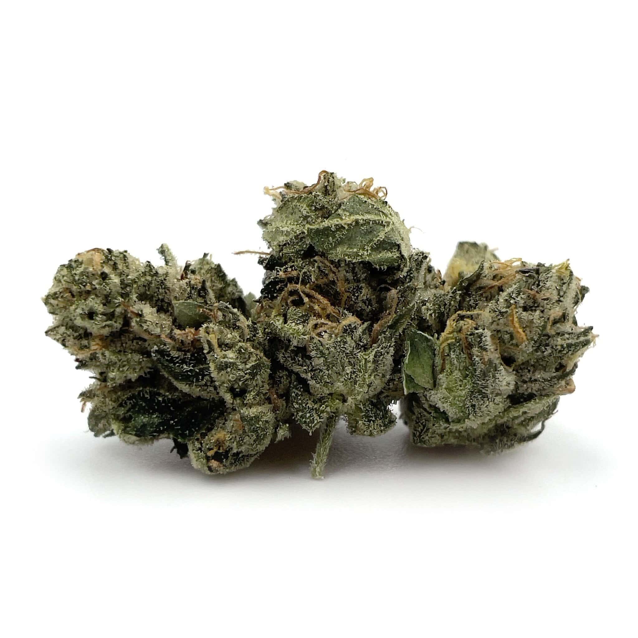 Enigma Extracts - Pink Gas - Smalls