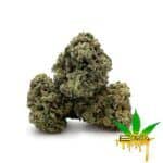 Enigma Extracts - Animal Cookies - Smalls