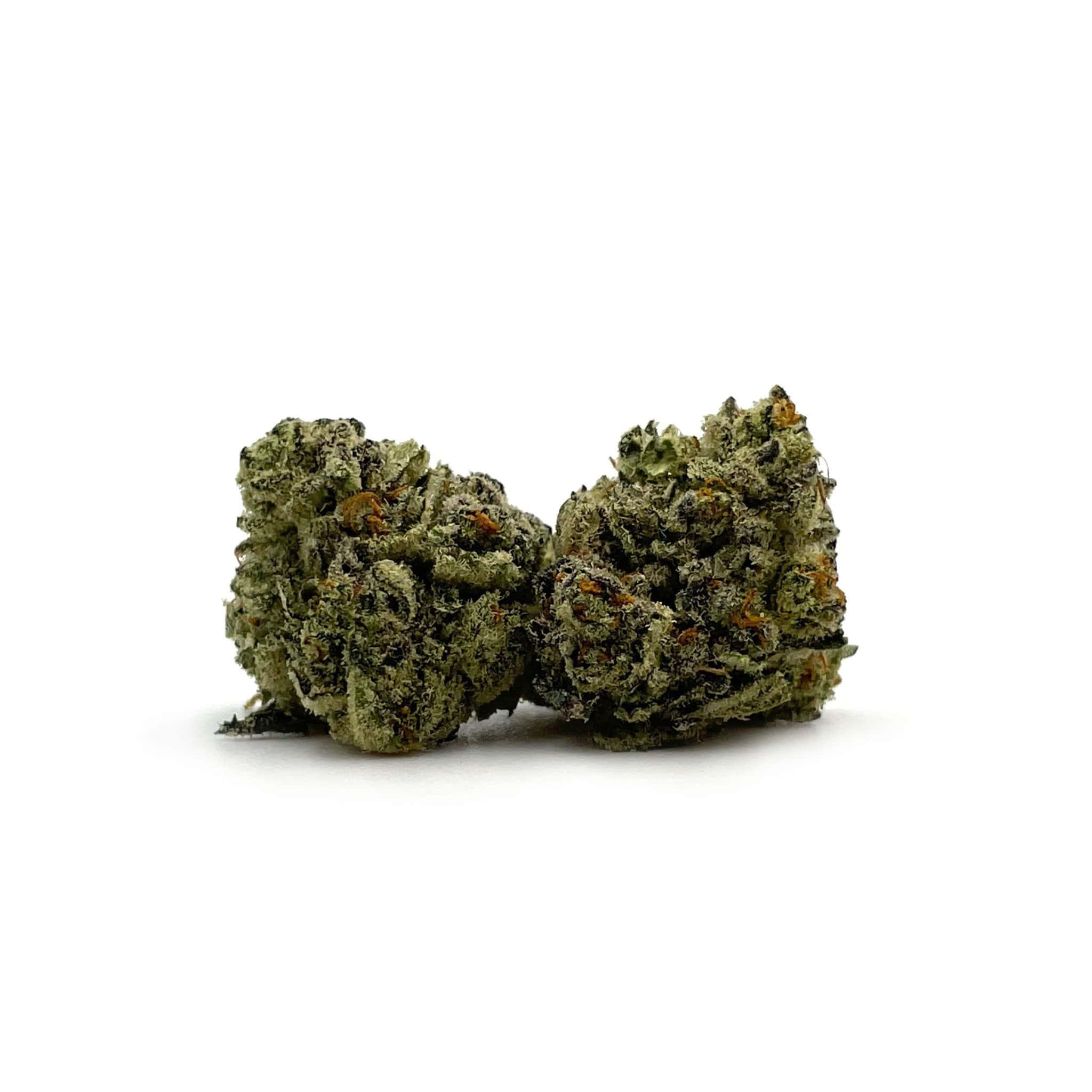 Enigma Extracts - Dark Plasma - Smalls