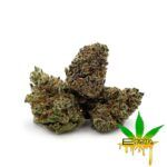 Enigma Extracts - Fruit Cake - Smalls