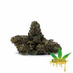 Enigma Extracts - Funky Charms - Smalls