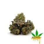 Enigma Extracts - Gary Payton - Smalls