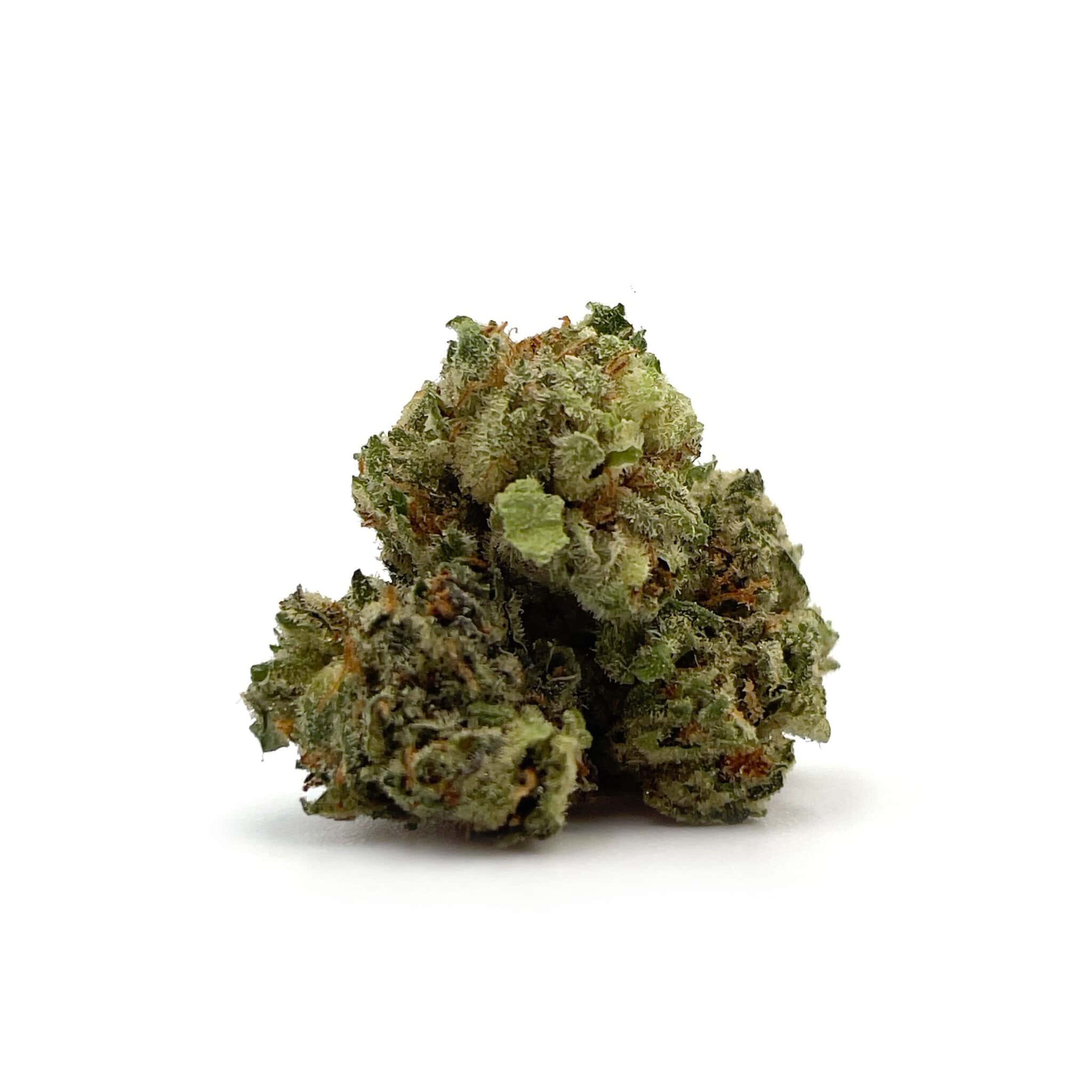 Enigma Extracts - Gary Payton - Smalls