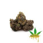 Enigma Extracts - Gas Face - Smalls