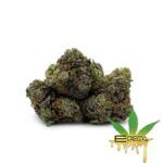 Enigma Extracts - Gas Mask - Smalls