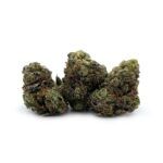 Enigma Extracts - Gas Mask - Smalls