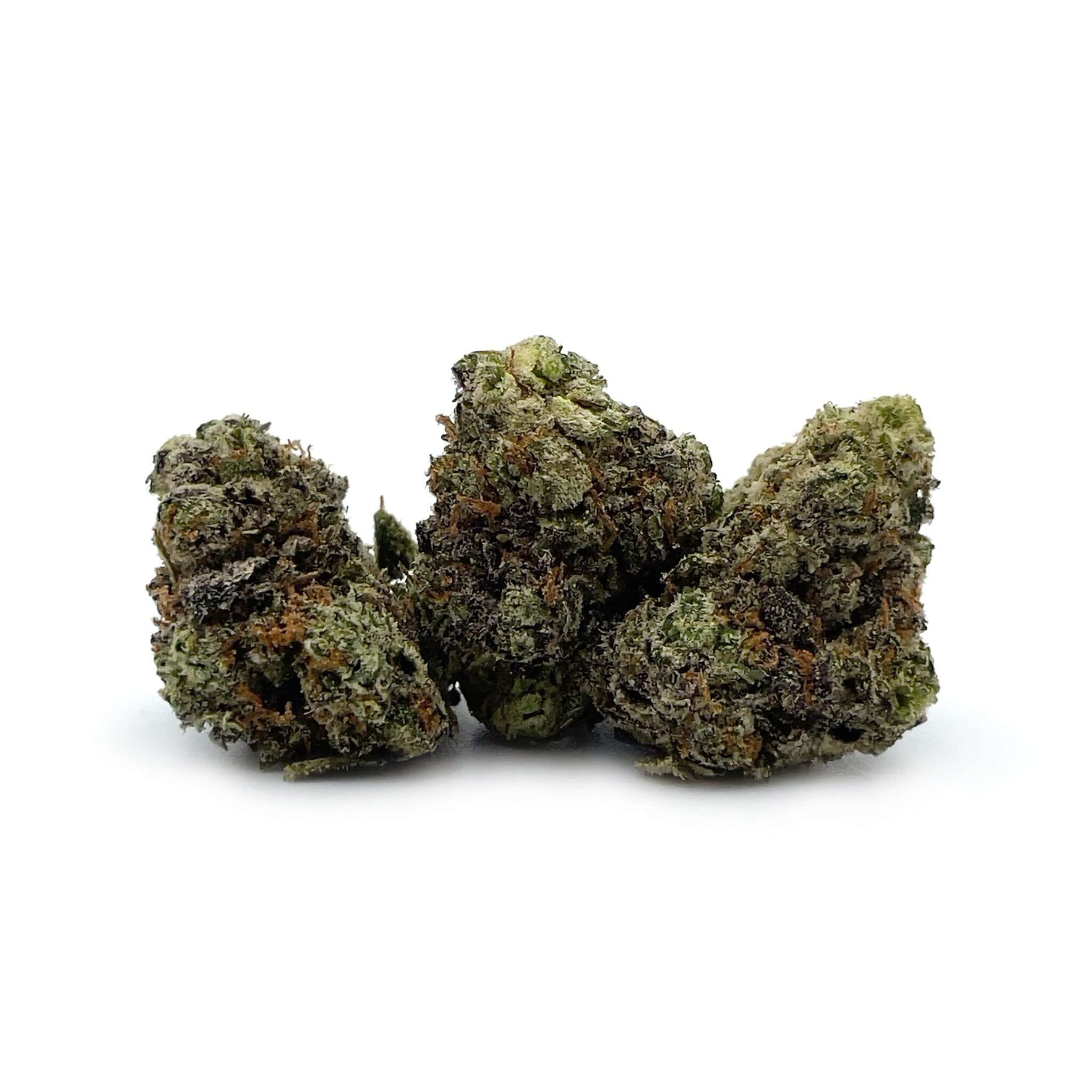 Enigma Extracts - Gas Mask - Smalls