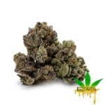 Enigma Extracts - Life Saver - Smalls