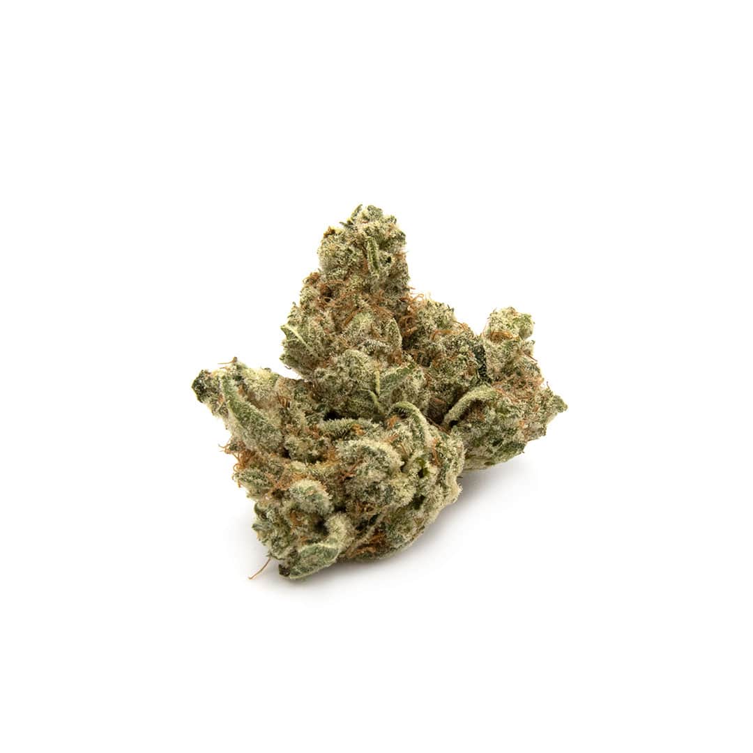 Enigma Extracts - Neon Lights - Smalls