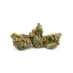 Enigma Extracts - Neon Lights - Smalls