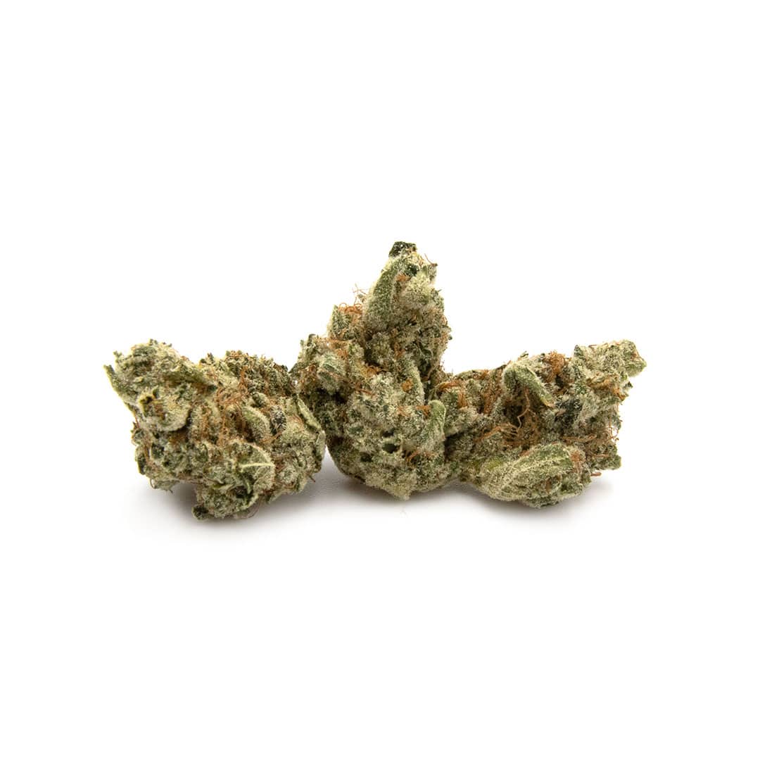 Enigma Extracts - Neon Lights - Smalls