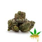 Enigma Extracts - Peyote Cookies - Smalls